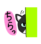ひろちゃんのニャンズ（個別スタンプ：27）