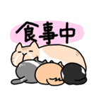 ひろちゃんのニャンズ（個別スタンプ：30）