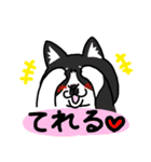 ひろちゃんのニャンズ（個別スタンプ：40）
