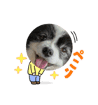 陸くん＆空くん一家と友達2（個別スタンプ：1）