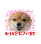 陸くん＆空くん一家と友達2（個別スタンプ：4）