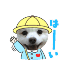 陸くん＆空くん一家と友達2（個別スタンプ：5）