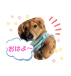 陸くん＆空くん一家と友達2（個別スタンプ：12）