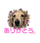 陸くん＆空くん一家と友達2（個別スタンプ：13）