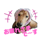 陸くん＆空くん一家と友達2（個別スタンプ：14）