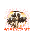 陸くん＆空くん一家と友達2（個別スタンプ：17）
