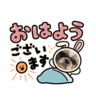 陸くん＆空くん一家と友達2（個別スタンプ：19）