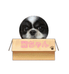 陸くん＆空くん一家と友達2（個別スタンプ：20）