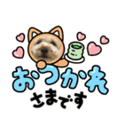 陸くん＆空くん一家と友達2（個別スタンプ：23）