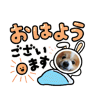 陸くん＆空くん一家と友達2（個別スタンプ：24）
