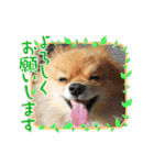 陸くん＆空くん一家と友達2（個別スタンプ：28）