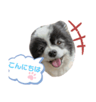 陸くん＆空くん一家と友達2（個別スタンプ：39）