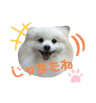陸くん＆空くん一家と友達2（個別スタンプ：40）