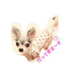 ちわわの柚ちゃん灯ちゃん日常で使える（個別スタンプ：5）