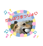 毎日らぶらどーる3（個別スタンプ：7）