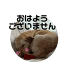 毎日らぶらどーる3（個別スタンプ：8）