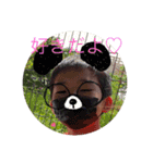 え、やば、なに（個別スタンプ：10）