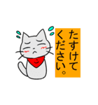 けーごをしゃべるねこ（個別スタンプ：11）