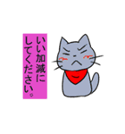 けーごをしゃべるねこ（個別スタンプ：19）