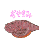 毒魚スタンプ 2（個別スタンプ：4）