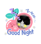 動物たち1（個別スタンプ：7）