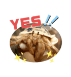 胸キュン♡おかやどかり(Hermit crab)（個別スタンプ：4）