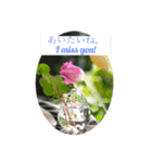 簡単な英語と日本語に薔薇の花を添えて（個別スタンプ：8）