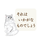 仔猫のごあいさつ（個別スタンプ：15）