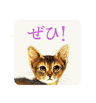 仔猫のごあいさつ（個別スタンプ：17）