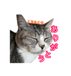 ×お礼の仕返し   ○お礼のお返し（個別スタンプ：2）