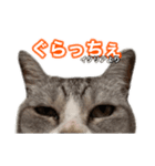 ×お礼の仕返し   ○お礼のお返し（個別スタンプ：3）