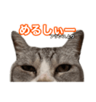 ×お礼の仕返し   ○お礼のお返し（個別スタンプ：4）