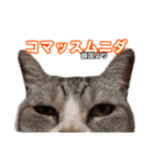 ×お礼の仕返し   ○お礼のお返し（個別スタンプ：7）