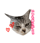 ×お礼の仕返し   ○お礼のお返し（個別スタンプ：9）