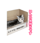×お礼の仕返し   ○お礼のお返し（個別スタンプ：10）