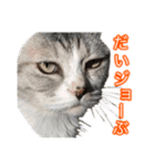 ×お礼の仕返し   ○お礼のお返し（個別スタンプ：12）