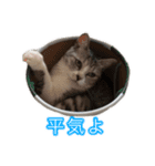 ×お礼の仕返し   ○お礼のお返し（個別スタンプ：13）