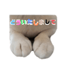 ×お礼の仕返し   ○お礼のお返し（個別スタンプ：15）