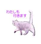 須原の猫：アルちゃんのスタンプ（個別スタンプ：24）