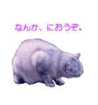 須原の猫：アルちゃんのスタンプ（個別スタンプ：28）