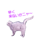 須原の猫：アルちゃんのスタンプ（個別スタンプ：38）