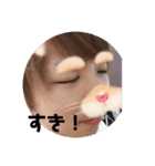 めろんぱん！！（個別スタンプ：5）