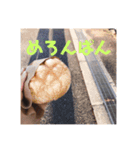 めろんぱん！！（個別スタンプ：13）
