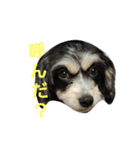 ぐーたらまるこの日常（個別スタンプ：6）
