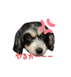 ぐーたらまるこの日常（個別スタンプ：8）