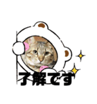 まろんちゃんとくるみちゃんと琥珀2（個別スタンプ：12）