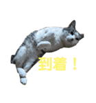 とろろらむもずく♡（個別スタンプ：5）