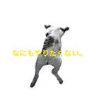 とろろらむもずく♡（個別スタンプ：18）