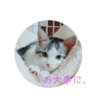 とろろらむもずく♡（個別スタンプ：20）