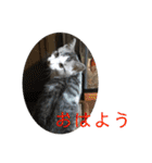 とろろらむもずく♡（個別スタンプ：22）